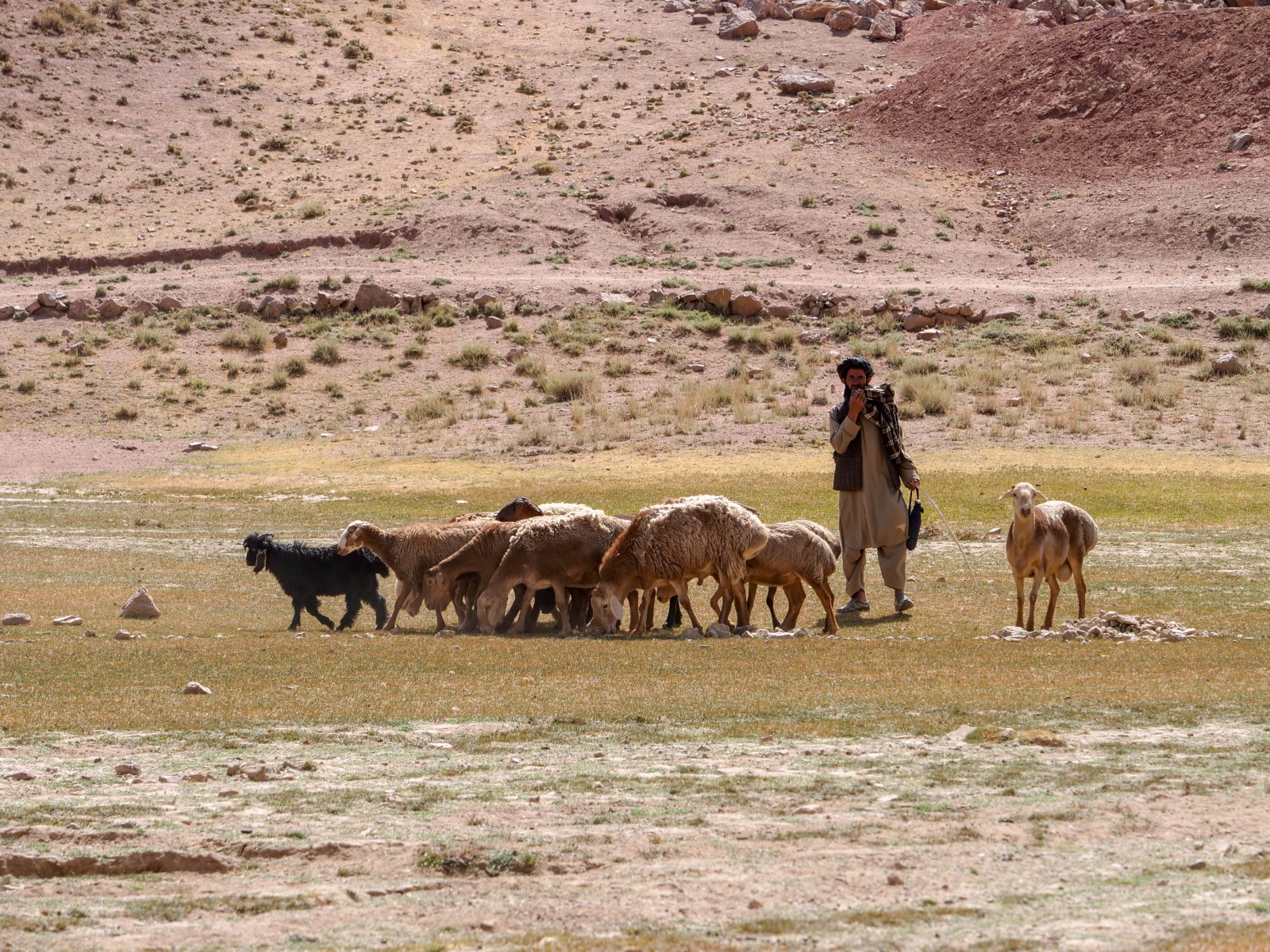 Afghanistan