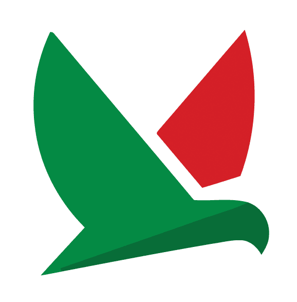Afghan Explorer Logo